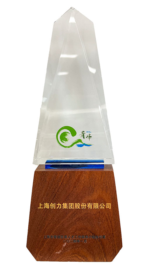 青峰獎1.jpg 喜報!上海創力(li)集(ji)團(tuán)榮獲2023年(nian)度青浦區(qu)百(bai)強優(you)秀齊(qi)業等(deng)三項(xiang)大(da)獎(圖3)
